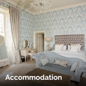 Accommodation. Photograph of a luxury hotel room decorated in soft blue and neutral colours