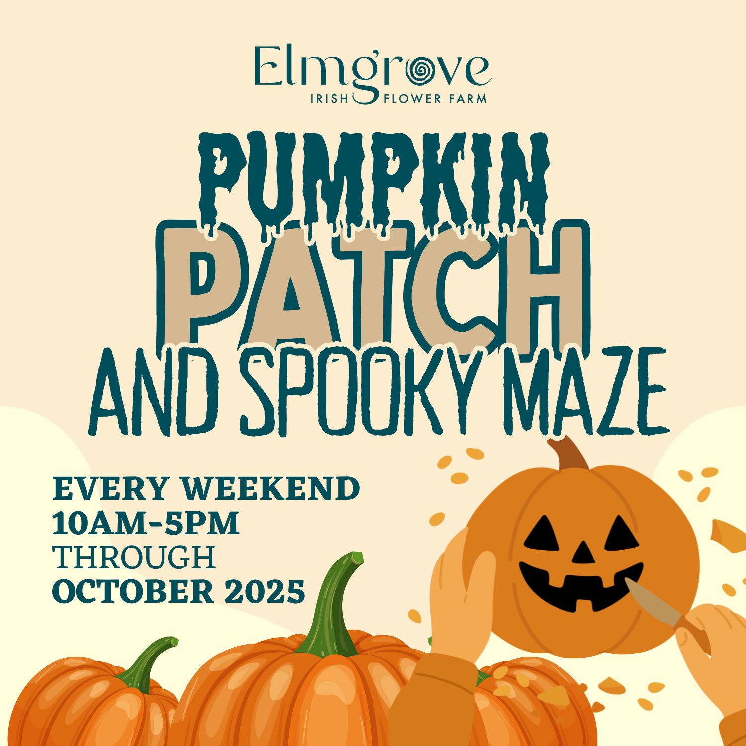 Elmgrove`s Spooky – Maze in the Maize