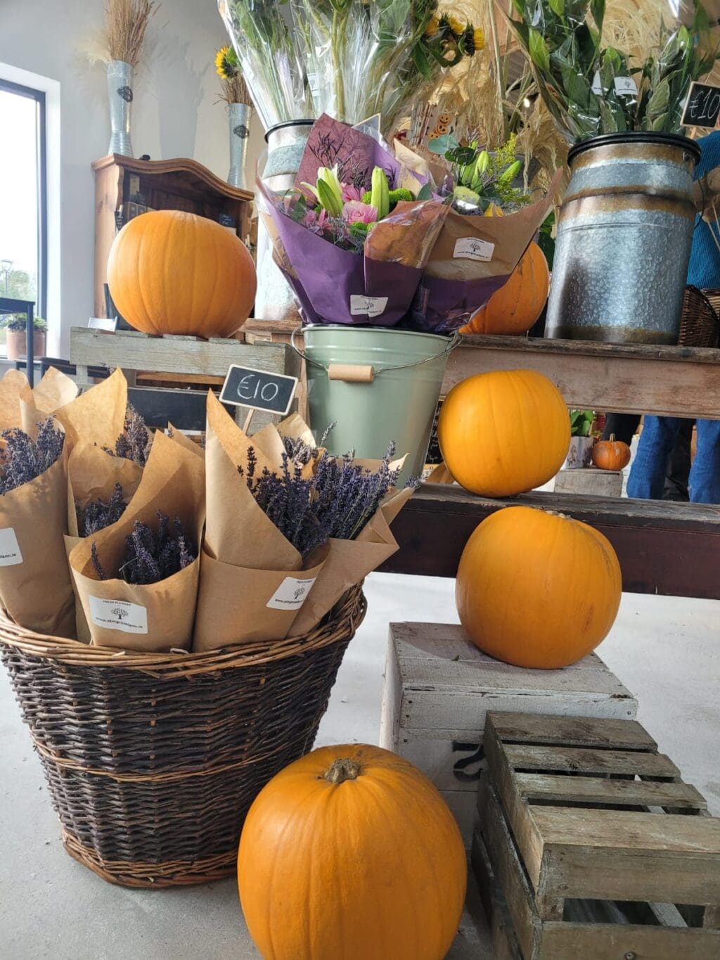 Halloween Pumpkin Hunt